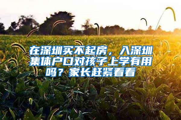 在深圳买不起房，入深圳集体户口对孩子上学有用吗？家长赶紧看看