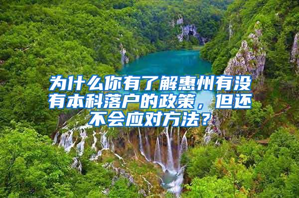 为什么你有了解惠州有没有本科落户的政策，但还不会应对方法？