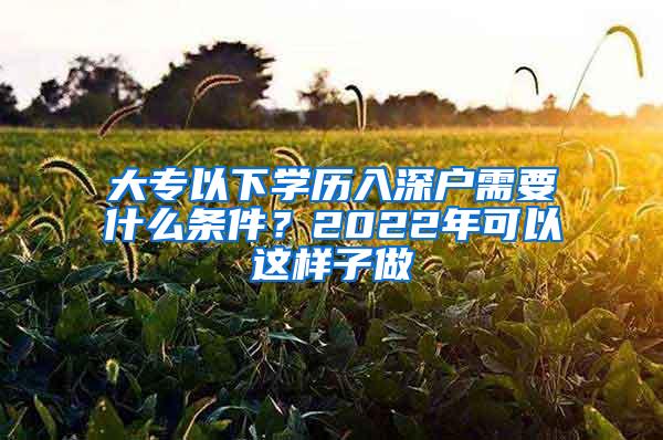 大专以下学历入深户需要什么条件？2022年可以这样子做