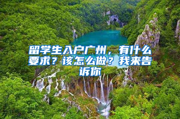 留学生入户广州，有什么要求？该怎么做？我来告诉你