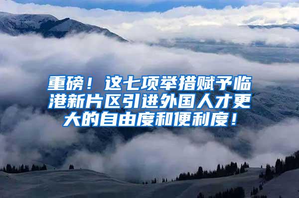 重磅！这七项举措赋予临港新片区引进外国人才更大的自由度和便利度！