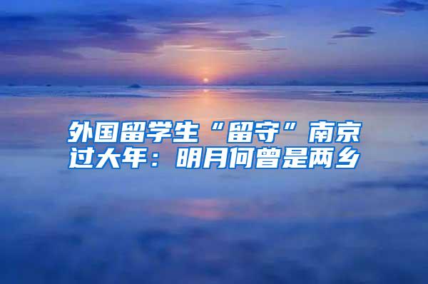 外国留学生“留守”南京过大年：明月何曾是两乡