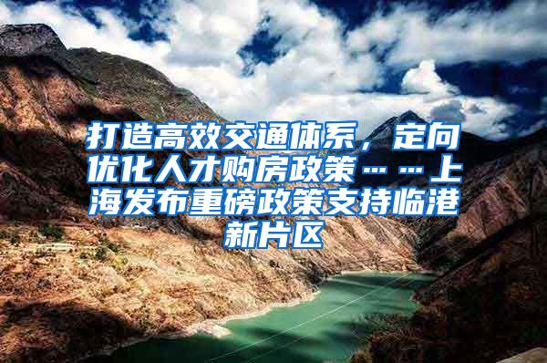 打造高效交通体系，定向优化人才购房政策……上海发布重磅政策支持临港新片区