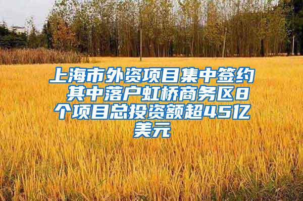 上海市外资项目集中签约 其中落户虹桥商务区8个项目总投资额超45亿美元