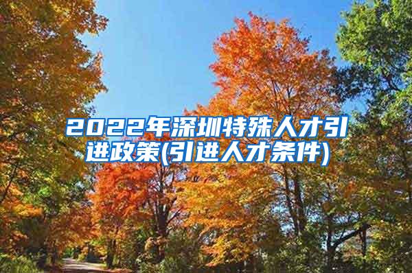 2022年深圳特殊人才引进政策(引进人才条件)