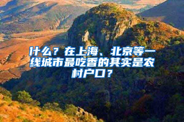 什么？在上海、北京等一线城市最吃香的其实是农村户口？