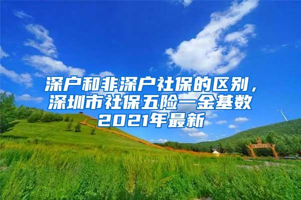 深户和非深户社保的区别，深圳市社保五险一金基数2021年最新