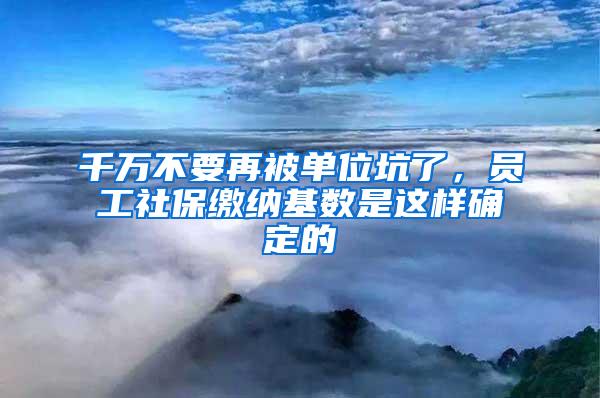 千万不要再被单位坑了，员工社保缴纳基数是这样确定的