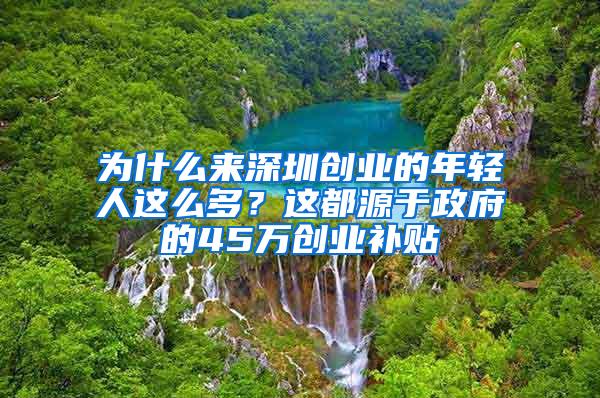 为什么来深圳创业的年轻人这么多？这都源于政府的45万创业补贴