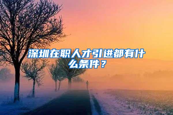 深圳在职人才引进都有什么条件？