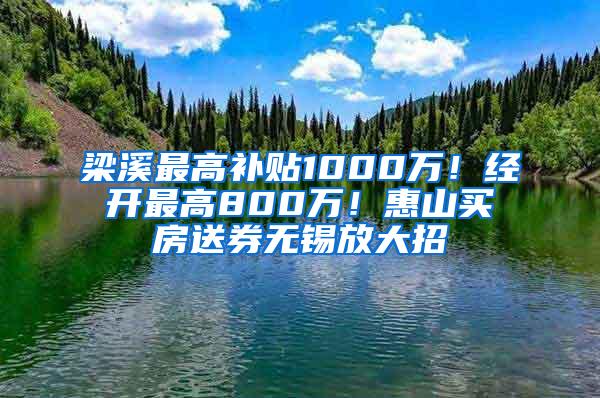 梁溪最高补贴1000万！经开最高800万！惠山买房送券无锡放大招