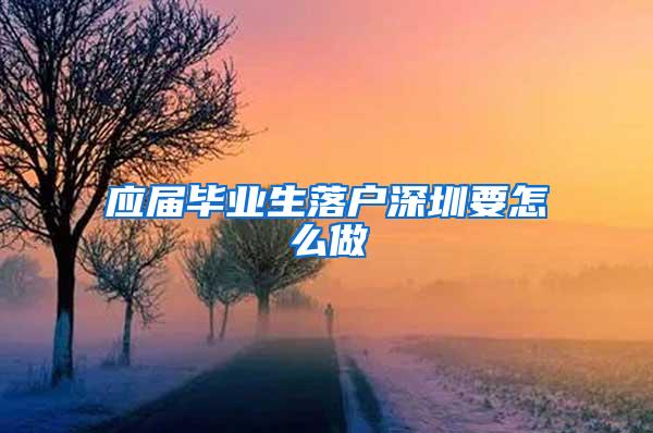 应届毕业生落户深圳要怎么做