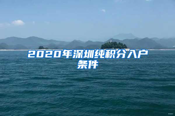 2020年深圳纯积分入户条件