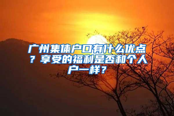 广州集体户口有什么优点？享受的福利是否和个人户一样？