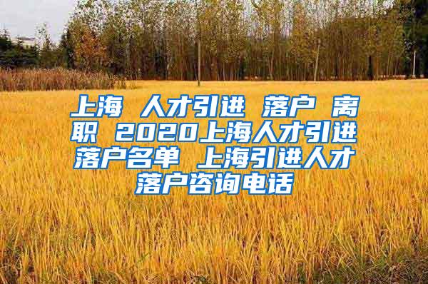 上海 人才引进 落户 离职 2020上海人才引进落户名单 上海引进人才落户咨询电话