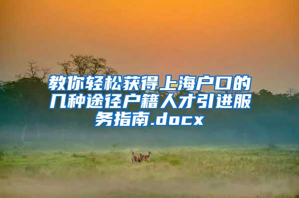 教你轻松获得上海户口的几种途径户籍人才引进服务指南.docx