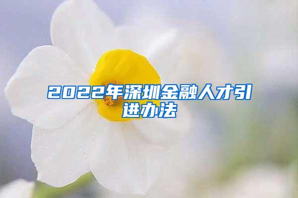 2022年深圳金融人才引进办法