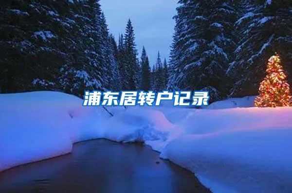 浦东居转户记录