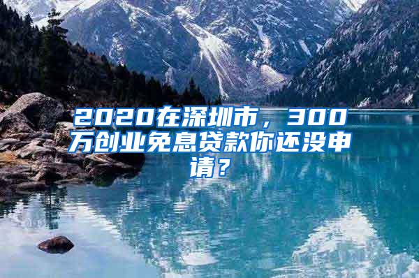 2020在深圳市，300万创业免息贷款你还没申请？