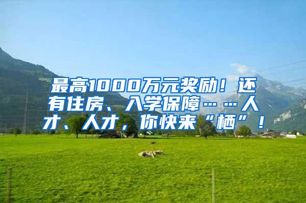 最高1000万元奖励！还有住房、入学保障……人才、人才，你快来“栖”！