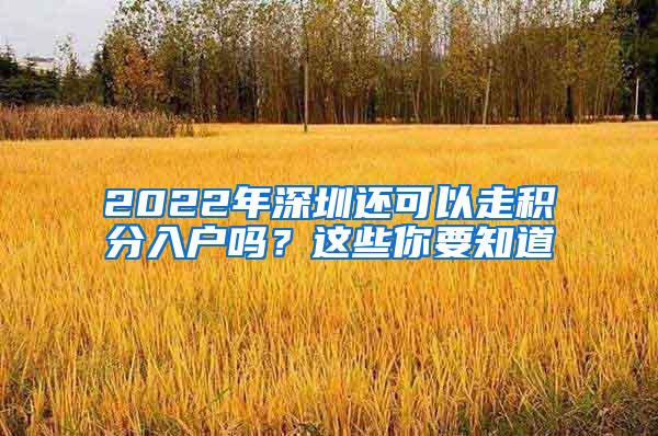 2022年深圳还可以走积分入户吗？这些你要知道