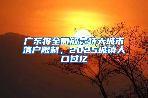 广东将全面放宽特大城市落户限制，2025城镇人口过亿