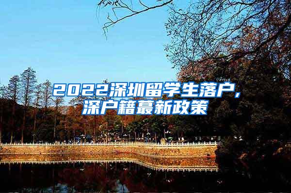 2022深圳留学生落户,深户籍蕞新政策