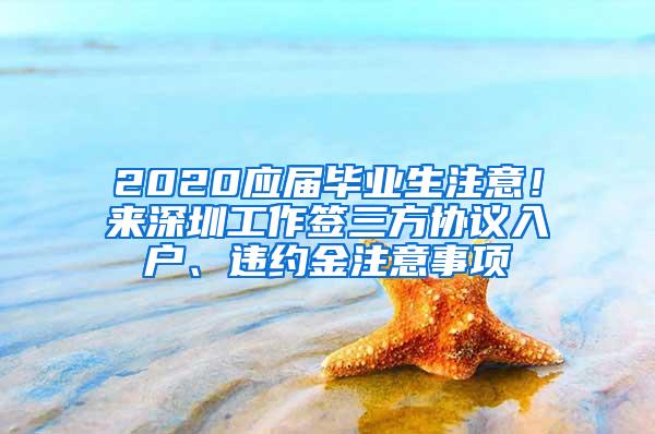 2020应届毕业生注意！来深圳工作签三方协议入户、违约金注意事项