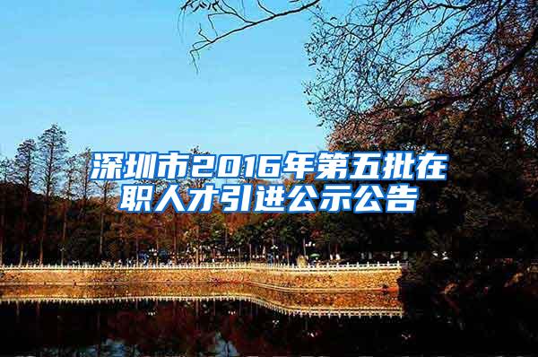 深圳市2016年第五批在职人才引进公示公告