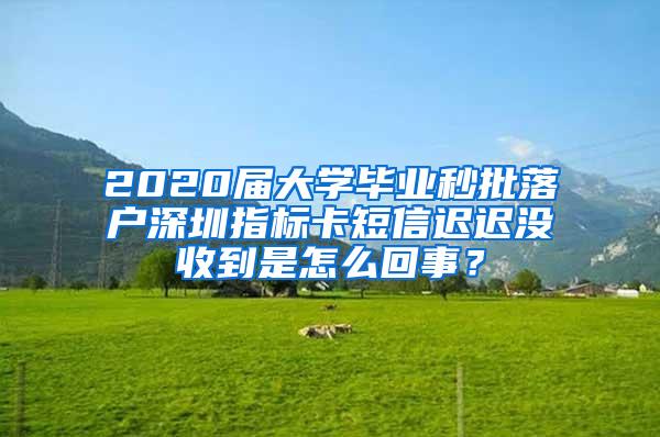 2020届大学毕业秒批落户深圳指标卡短信迟迟没收到是怎么回事？