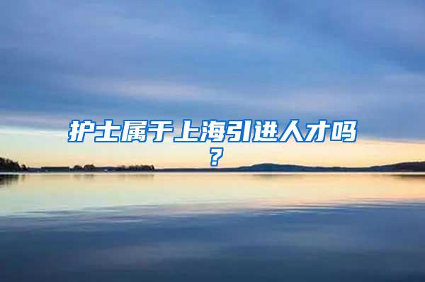 护士属于上海引进人才吗？