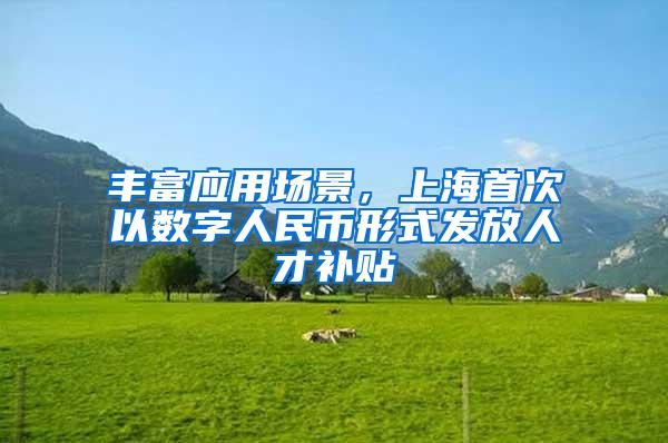 丰富应用场景，上海首次以数字人民币形式发放人才补贴