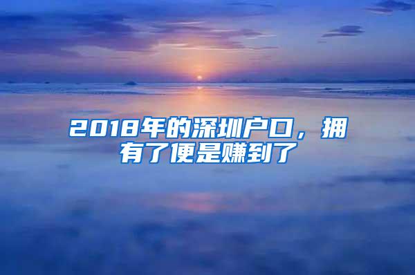 2018年的深圳户口，拥有了便是赚到了