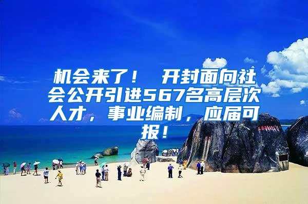 机会来了！ 开封面向社会公开引进567名高层次人才，事业编制，应届可报！