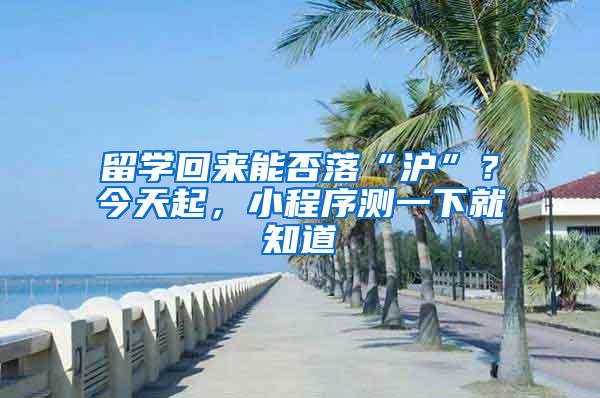 留学回来能否落“沪”？今天起，小程序测一下就知道