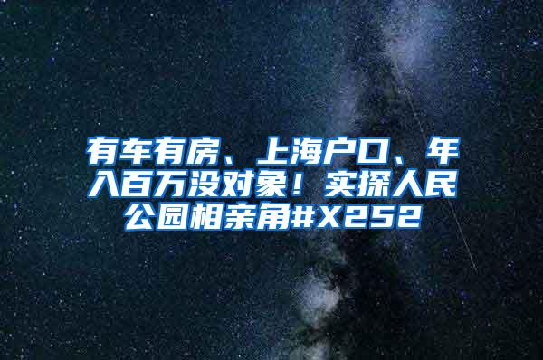 有车有房、上海户口、年入百万没对象！实探人民公园相亲角#X252