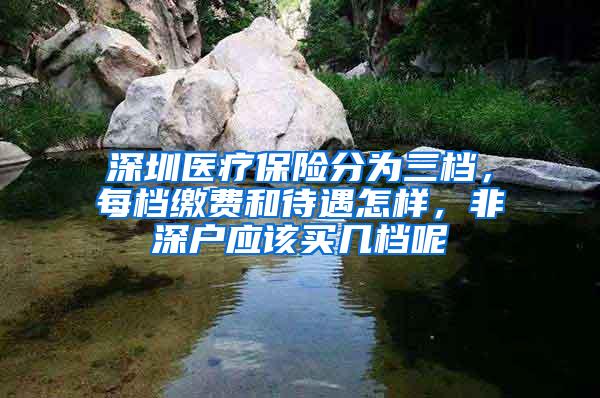 深圳医疗保险分为三档，每档缴费和待遇怎样，非深户应该买几档呢