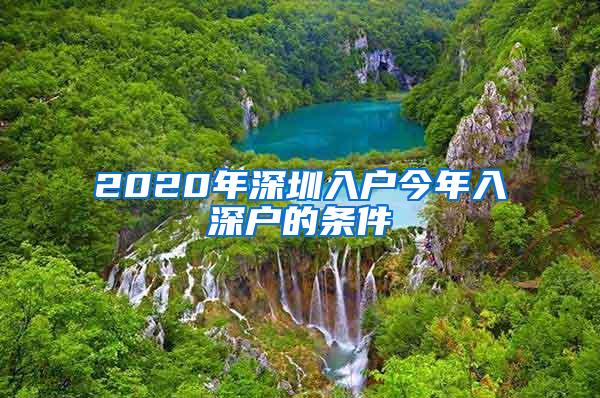 2020年深圳入户今年入深户的条件