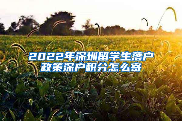 2022年深圳留学生落户政策深户积分怎么寄