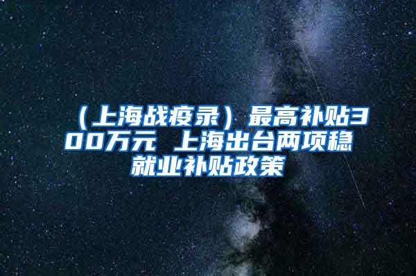 （上海战疫录）最高补贴300万元 上海出台两项稳就业补贴政策