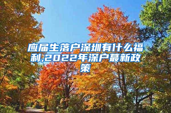 应届生落户深圳有什么福利,2022年深户蕞新政策