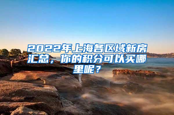 2022年上海各区域新房汇总，你的积分可以买哪里呢？