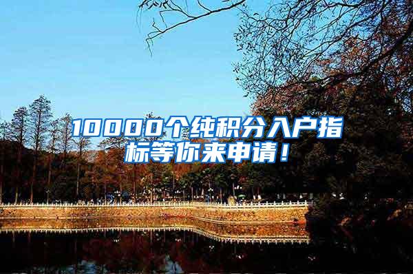 10000个纯积分入户指标等你来申请！