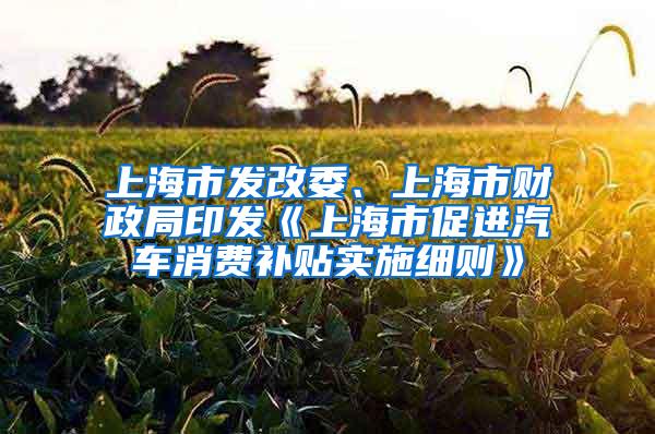 上海市发改委、上海市财政局印发《上海市促进汽车消费补贴实施细则》