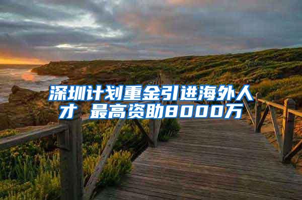 深圳计划重金引进海外人才 最高资助8000万