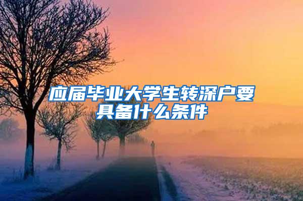 应届毕业大学生转深户要具备什么条件