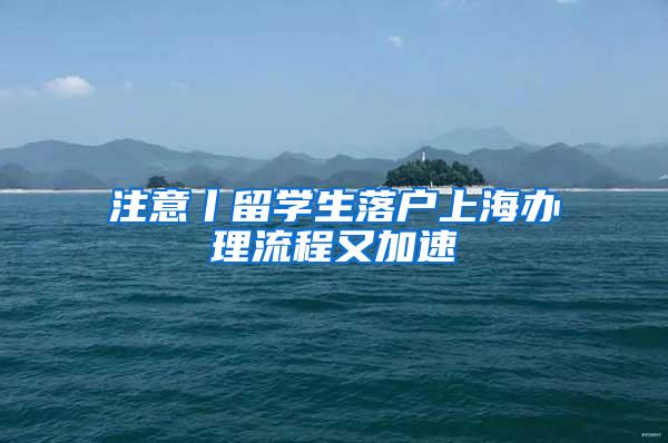 注意丨留学生落户上海办理流程又加速