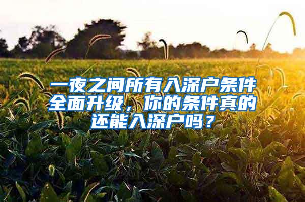 一夜之间所有入深户条件全面升级，你的条件真的还能入深户吗？