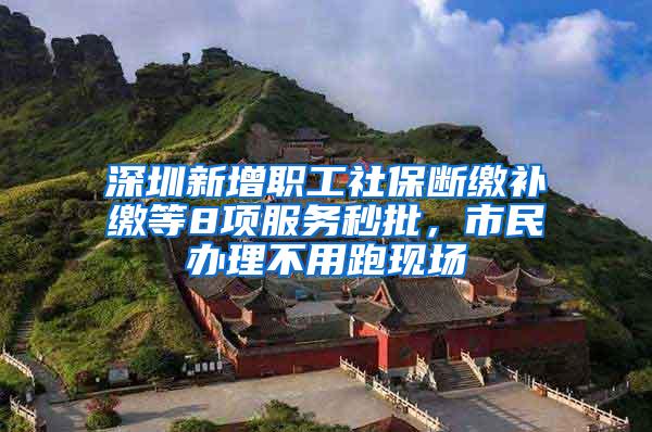 深圳新增职工社保断缴补缴等8项服务秒批，市民办理不用跑现场