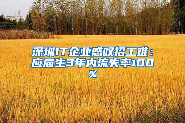 深圳IT企业感叹招工难：应届生3年内流失率100%